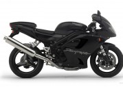 Triumph Daytona 955i Triumph Daytona 955i